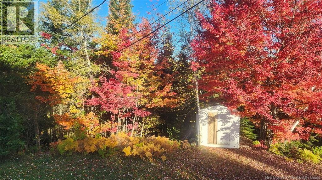 791 Baisley Road, Saint-Jacques, New Brunswick E7B 2A1 - Photo 34 - NB127648