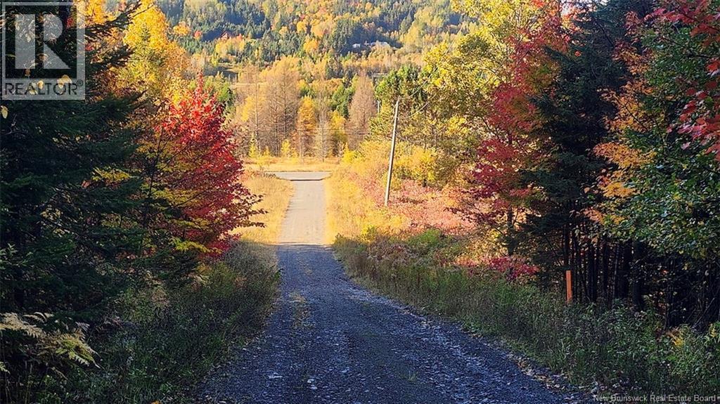 791 Baisley Road, Saint-Jacques, New Brunswick E7B 2A1 - Photo 39 - NB127648