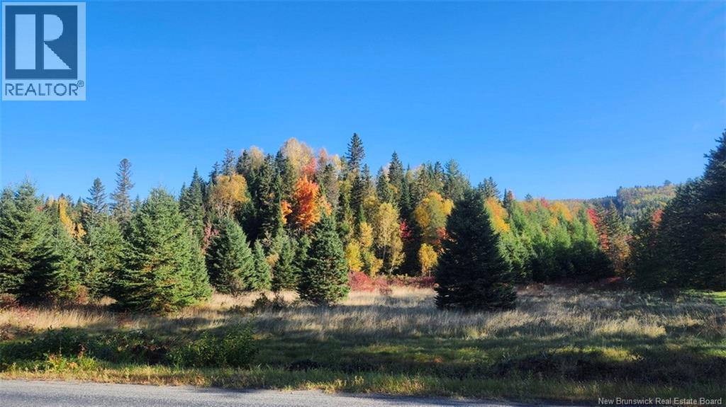 791 Baisley Road, Saint-Jacques, New Brunswick E7B 2A1 - Photo 40 - NB127648