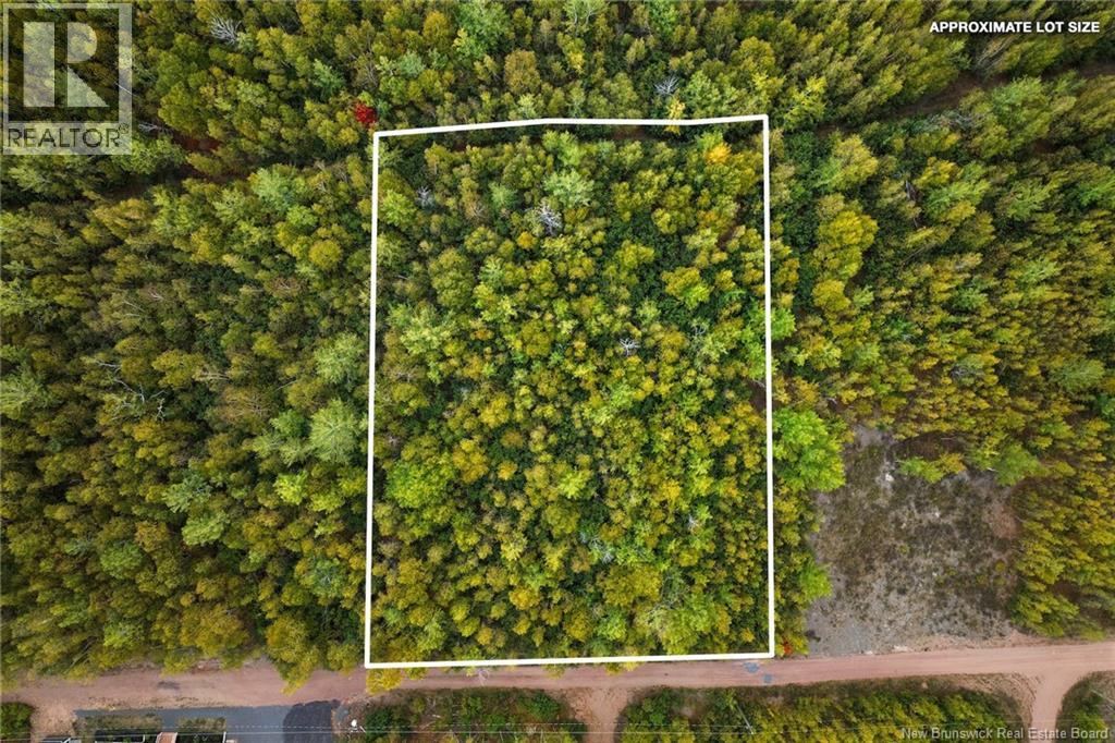 Lot 18-11 1260 Road, Coal Creek, New Brunswick  O0O 0O0 - Photo 6 - NB127824