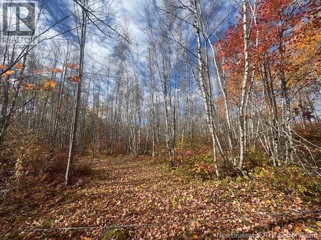 36 Vacation Lane South, Canaan, New Brunswick  E4Z 3S1 - Photo 10 - NB127752