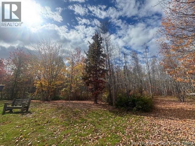 36 Vacation Lane South, Canaan, New Brunswick  E4Z 3S1 - Photo 11 - NB127752