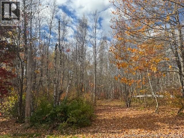 36 Vacation Lane South, Canaan, New Brunswick  E4Z 3S1 - Photo 12 - NB127752