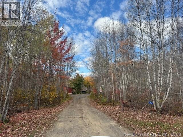 36 Vacation Lane South, Canaan, New Brunswick  E4Z 3S1 - Photo 7 - NB127752