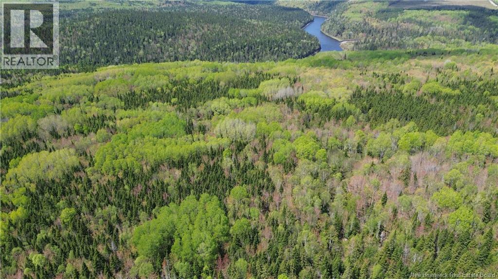 12 Austin Brook Road, Nepisiguit Falls, New Brunswick  E2A 6W8 - Photo 22 - NB128022