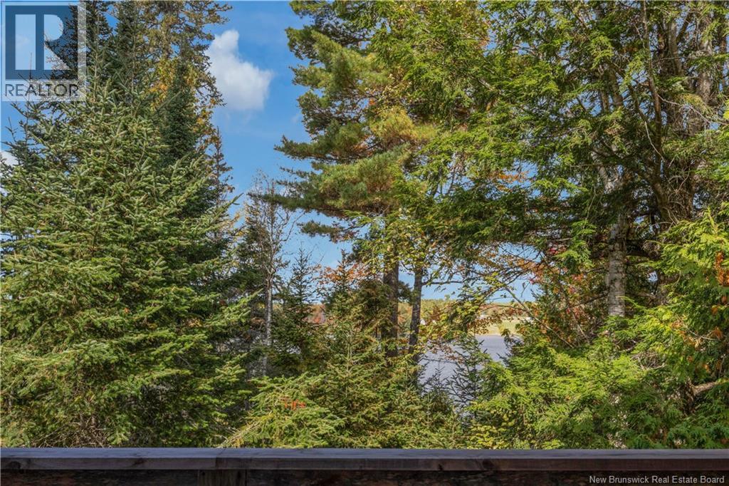 31 Thomas Lane, Codys, New Brunswick  E4C 4S9 - Photo 29 - NB127961