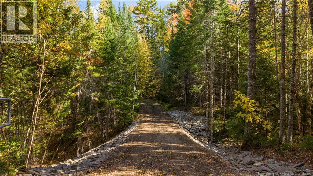 31 Thomas Lane, Codys, New Brunswick  E4C 4S9 - Photo 3 - NB127961