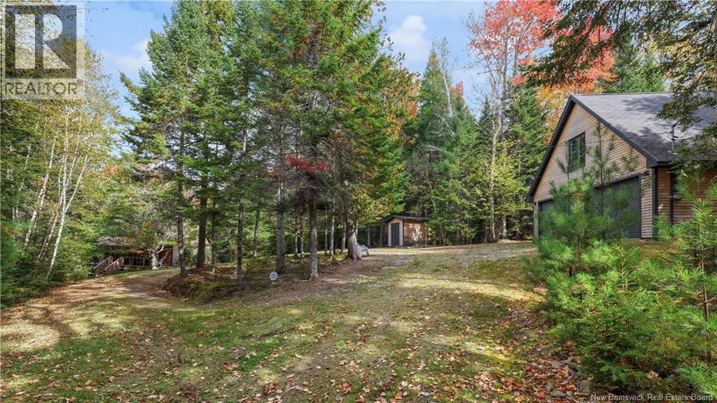 31 Thomas Lane, Codys, New Brunswick  E4C 4S9 - Photo 4 - NB127961