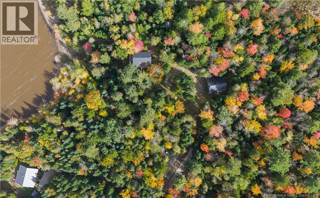 31 Thomas Lane, Codys, New Brunswick  E4C 4S9 - Photo 40 - NB127961