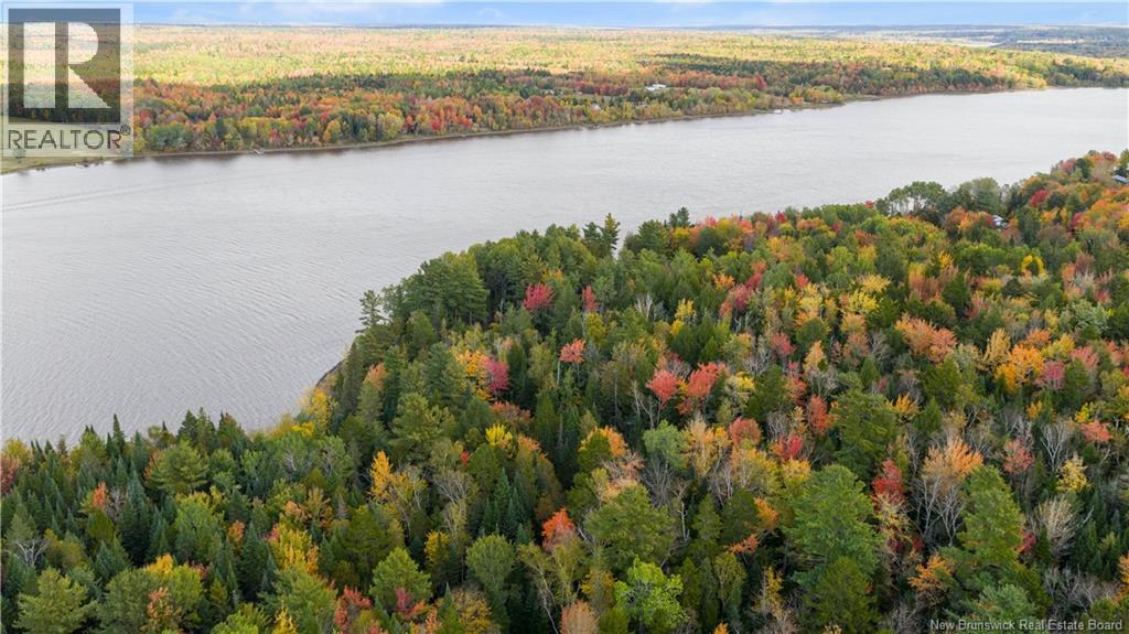 31 Thomas Lane, Codys, New Brunswick  E4C 4S9 - Photo 41 - NB127961