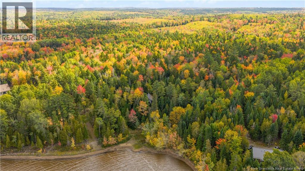 31 Thomas Lane, Codys, New Brunswick  E4C 4S9 - Photo 42 - NB127961