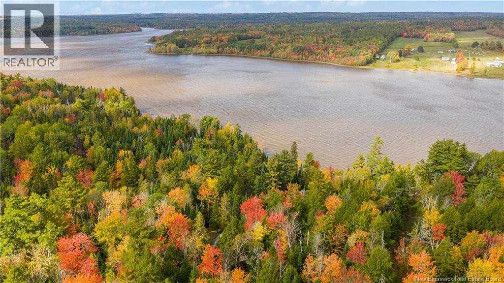 31 Thomas Lane, Codys, New Brunswick  E4C 4S9 - Photo 43 - NB127961