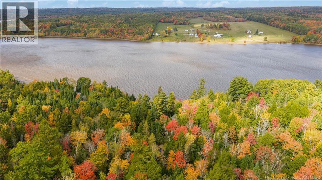 31 Thomas Lane, Codys, New Brunswick  E4C 4S9 - Photo 44 - NB127961