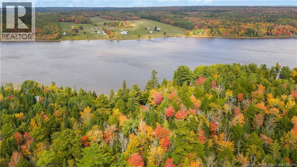 31 Thomas Lane, Codys, New Brunswick  E4C 4S9 - Photo 45 - NB127961