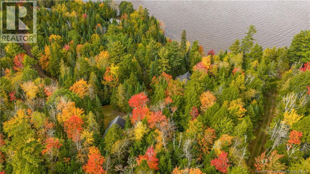 31 Thomas Lane, Codys, New Brunswick  E4C 4S9 - Photo 46 - NB127961