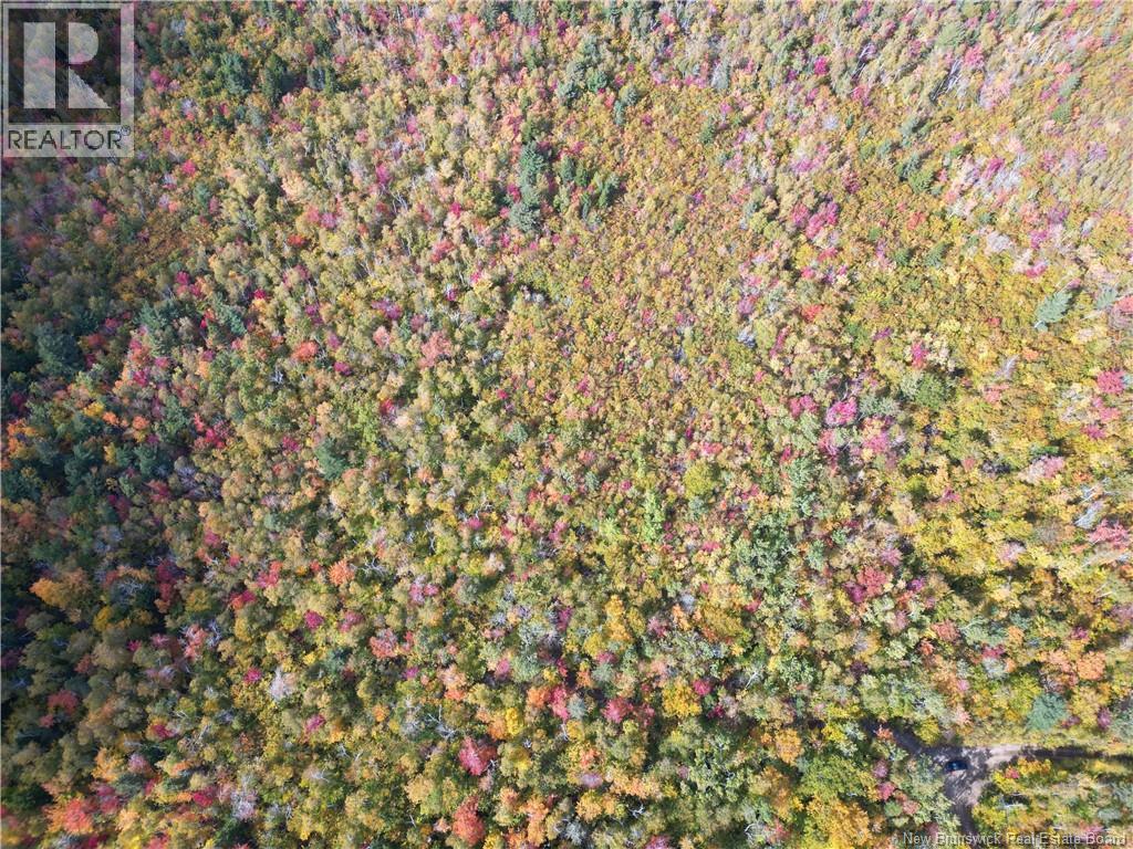 Lot 20 Green Road, Portage Vale, New Brunswick