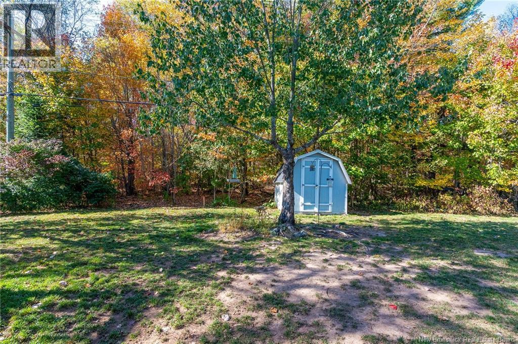 50 Goldsboro, Riverview, New Brunswick  E1B 4K4 - Photo 50 - NB128177