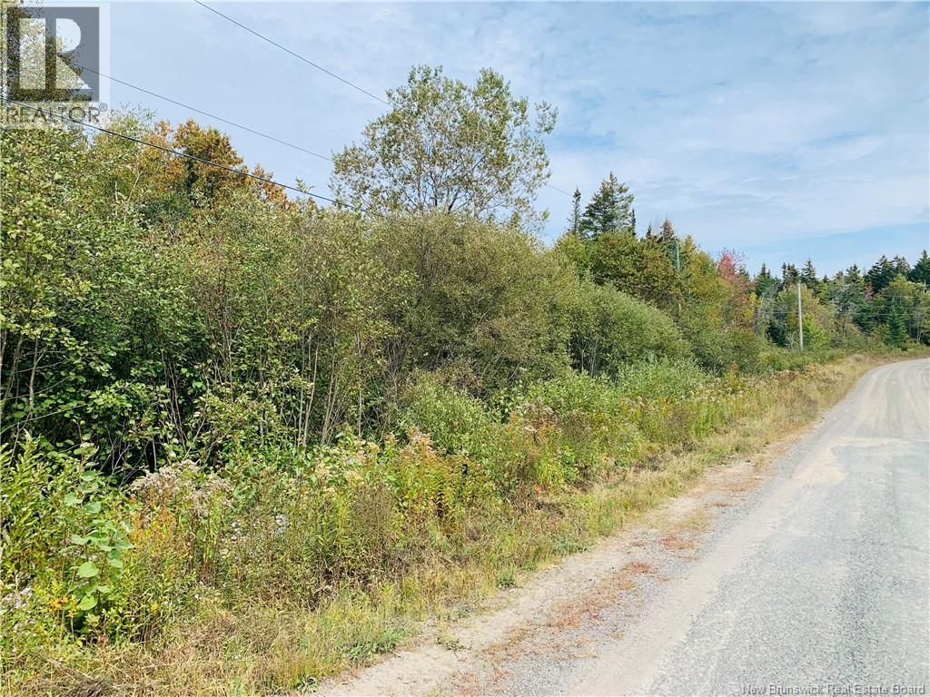 86-42 Hutchins Road, Welshpool, New Brunswick  E5E 1H1 - Photo 1 - NB128176