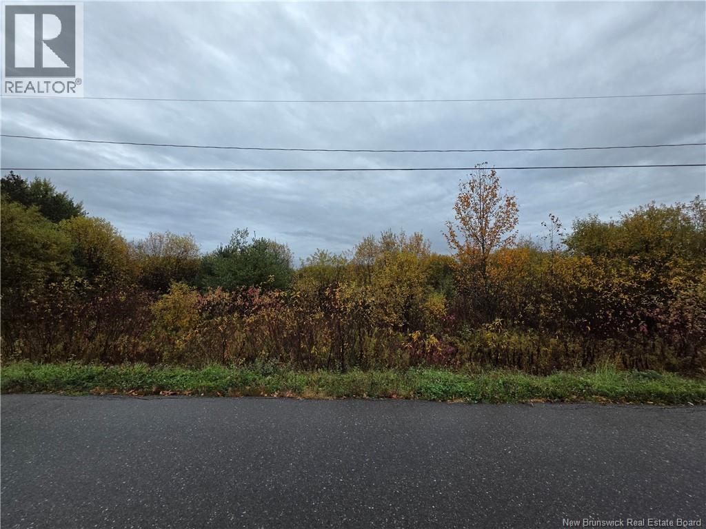 Lot St-Pierre Street, Sainte-Anne-De-Madawaska, New Brunswick  E7E 1L8 - Photo 3 - NB128203