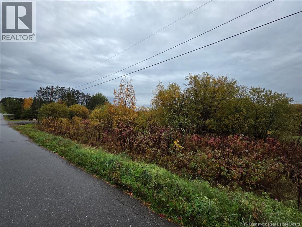 Lot St-Pierre Street, Sainte-Anne-De-Madawaska, New Brunswick  E7E 1L8 - Photo 4 - NB128203