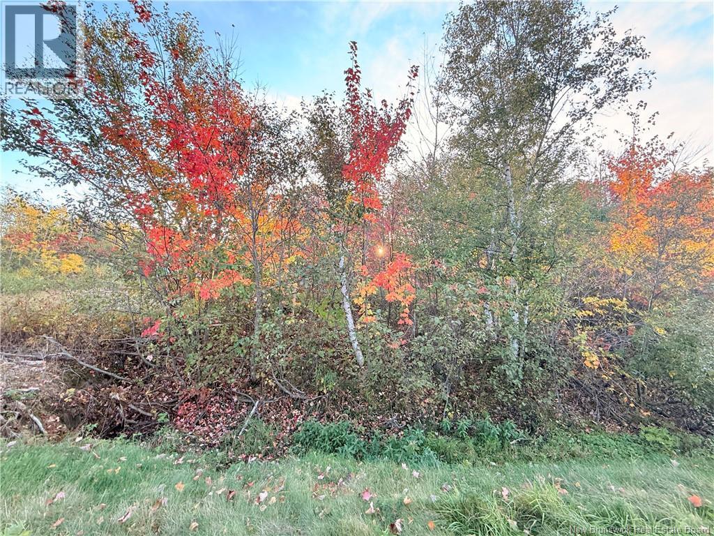 Lot Route 117, Escuminac, New Brunswick  E8A 1R5 - Photo 4 - NB128153