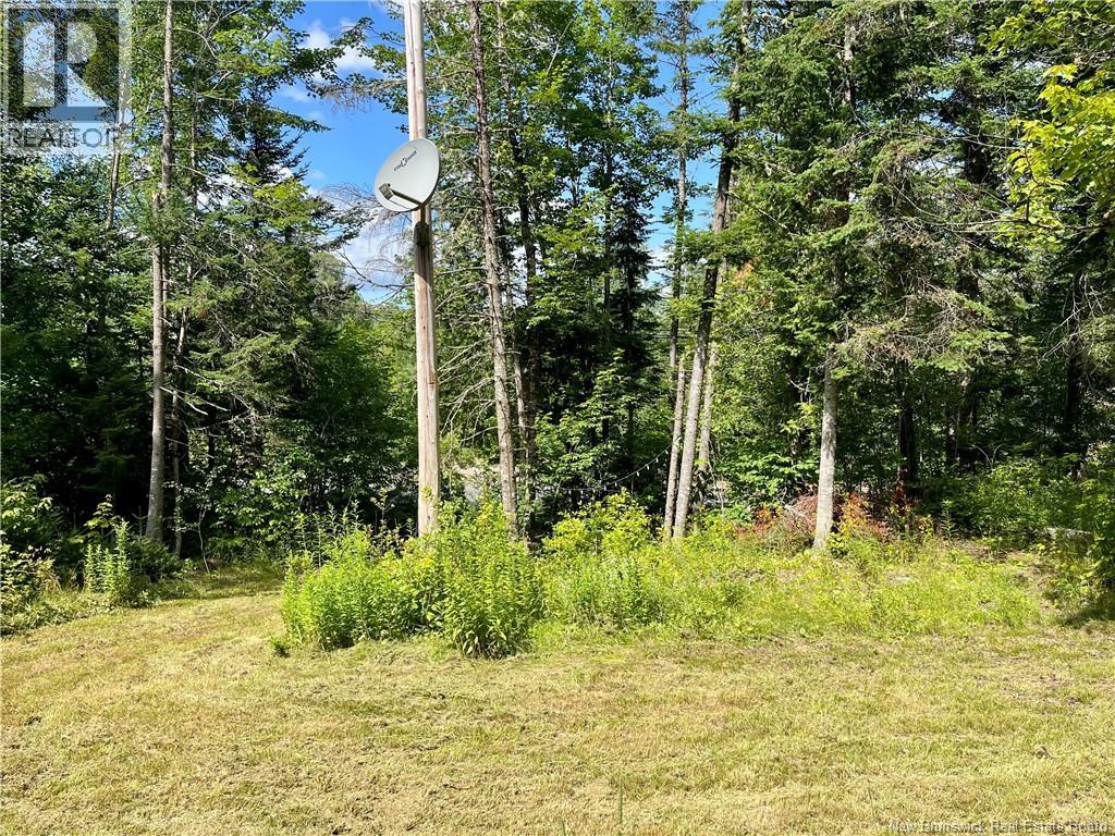 241 Route 107, Nashwaak Bridge, New Brunswick  E6C 2G3 - Photo 16 - NB128272