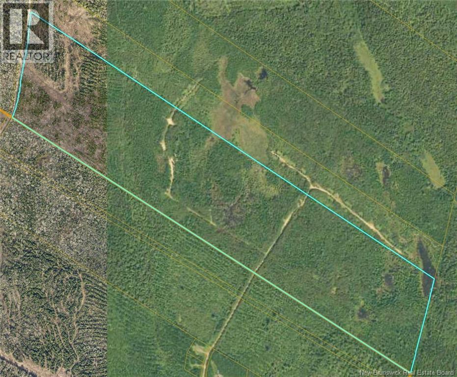 Land Mountain Road, New Market, New Brunswick  E6K 2T7 - Photo 2 - NB128201