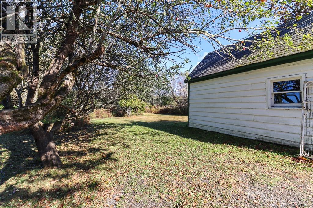 14 Old Black River Road, Black River, New Brunswick  E2S 1Z1 - Photo 10 - NB128301