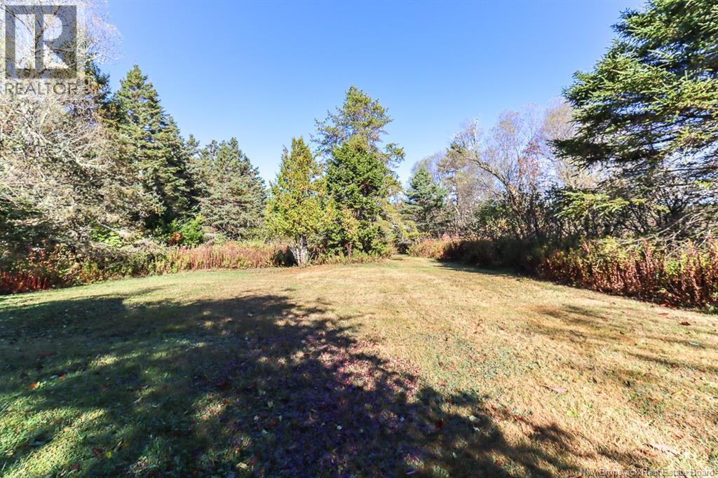14 Old Black River Road, Black River, New Brunswick  E2S 1Z1 - Photo 11 - NB128301