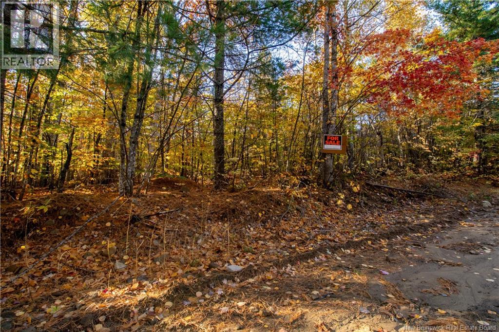 Lot Spring Road, Elgin, New Brunswick
