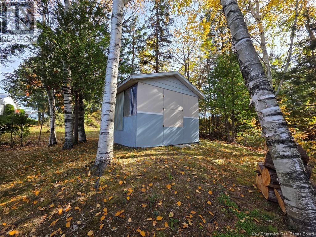 198 Bellevue Street, Grand Falls, New Brunswick  E3Y 1C2 - Photo 47 - NB128362