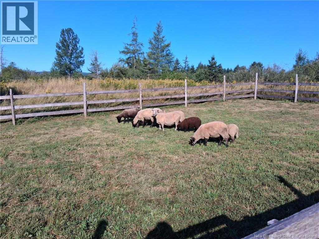 5356 Route 114, Hopewell Hill, New Brunswick E4H 3N3 - Photo 43 - NB128416