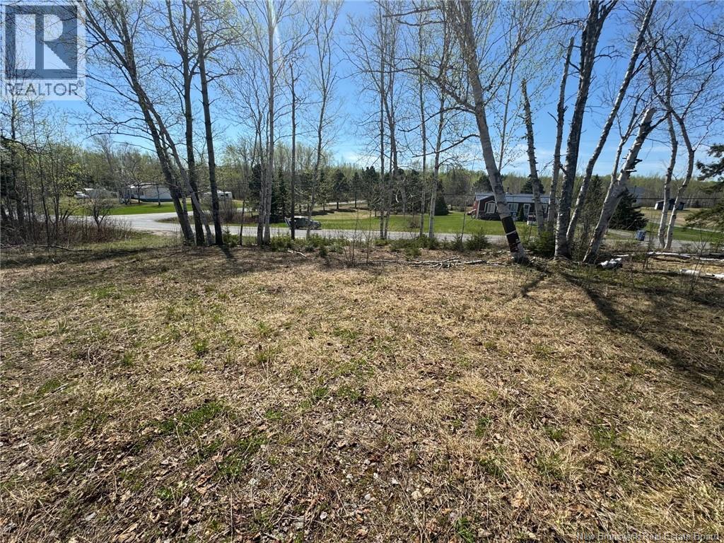 307 Doyleville Road, Lorne, New Brunswick  E8G 1H3 - Photo 2 - NB128430