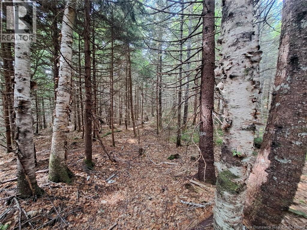 0 Memel Road, Albert Mines, New Brunswick
