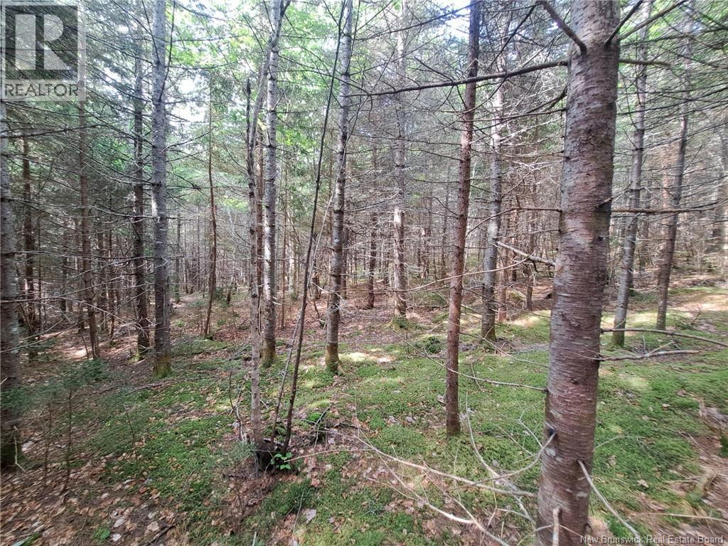 0 Memel Road, Albert Mines, New Brunswick  E4H 1T2 - Photo 2 - NB128391
