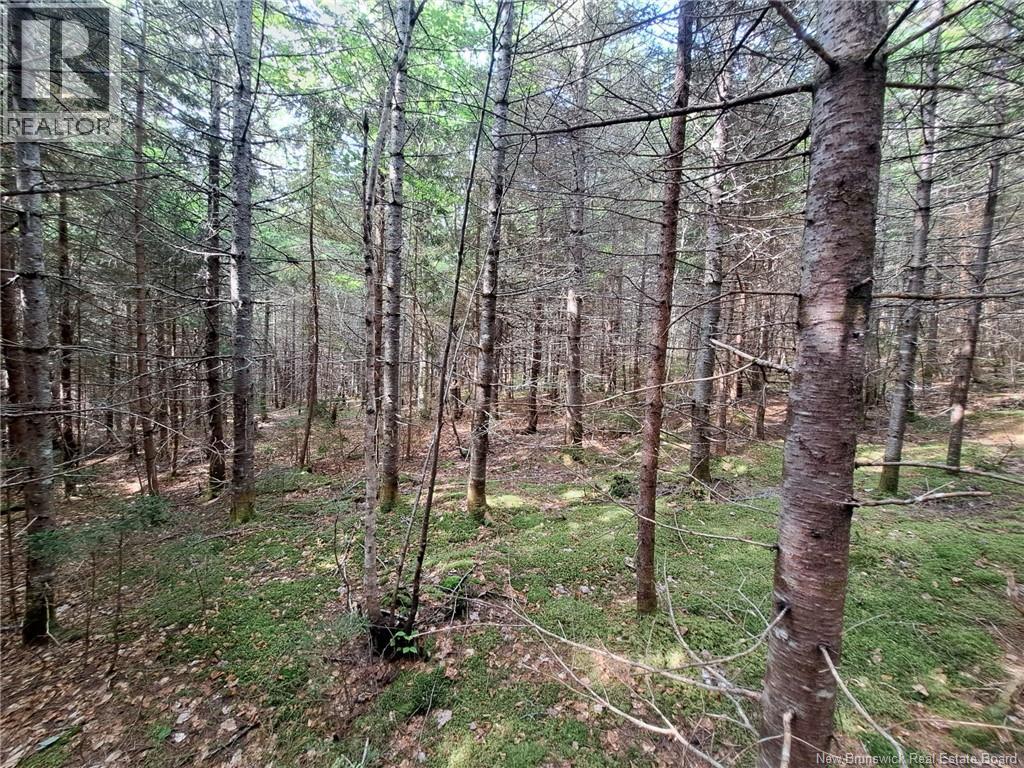 0 Memel Road, Albert Mines, New Brunswick  E4H 1T2 - Photo 3 - NB128391