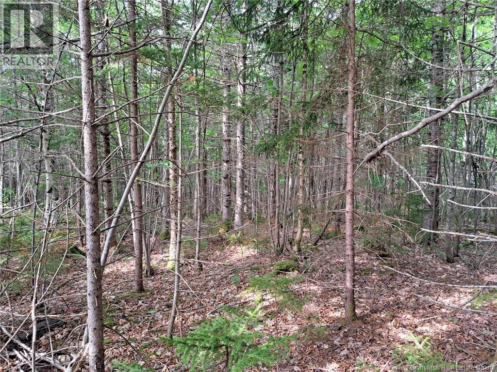 0 Memel Road, Albert Mines, New Brunswick  E4H 1T2 - Photo 6 - NB128391