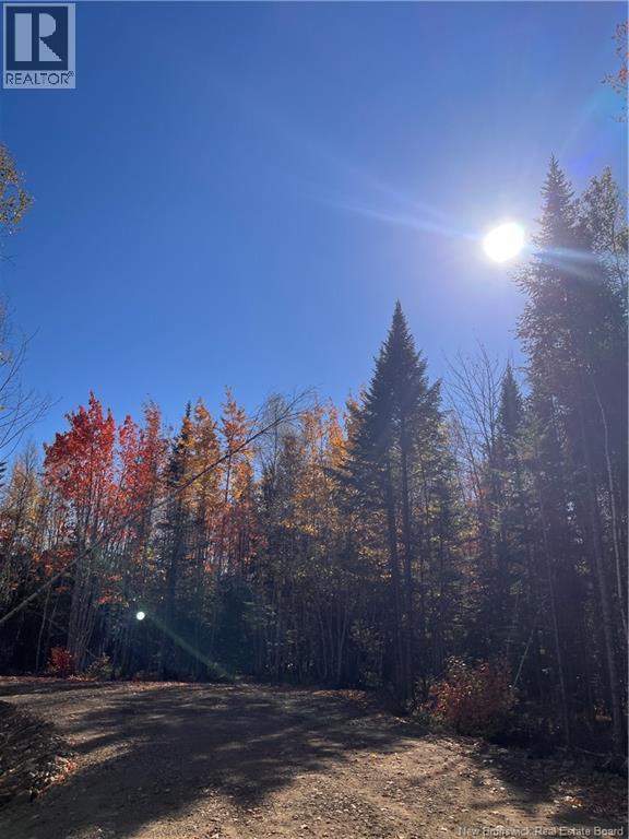 Lot Bells Mills Road, Richibouctou-Village, New Brunswick