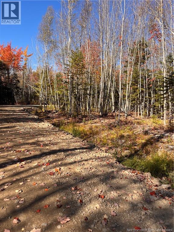 Lot Bells Mills Road, Richibouctou-Village, New Brunswick  E4W 1B8 - Photo 12 - NB128322