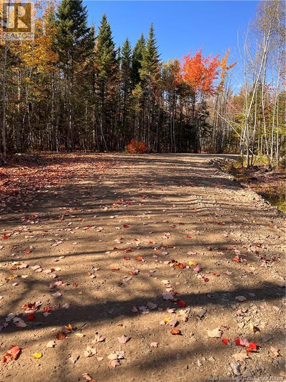 Lot Bells Mills Road, Richibouctou-Village, New Brunswick  E4W 1B8 - Photo 13 - NB128322