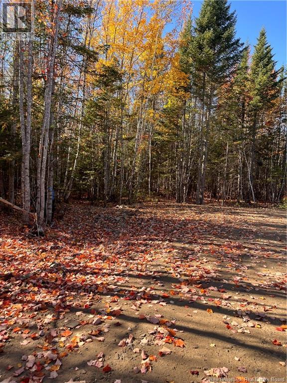 Lot Bells Mills Road, Richibouctou-Village, New Brunswick  E4W 1B8 - Photo 14 - NB128322