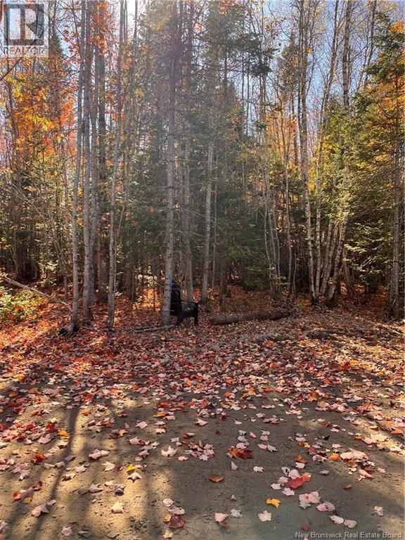 Lot Bells Mills Road, Richibouctou-Village, New Brunswick  E4W 1B8 - Photo 15 - NB128322