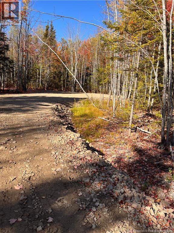 Lot Bells Mills Road, Richibouctou-Village, New Brunswick  E4W 1B8 - Photo 16 - NB128322