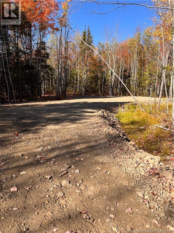 Lot Bells Mills Road, Richibouctou-Village, New Brunswick  E4W 1B8 - Photo 17 - NB128322