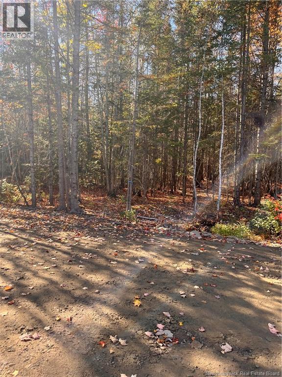 Lot Bells Mills Road, Richibouctou-Village, New Brunswick  E4W 1B8 - Photo 18 - NB128322