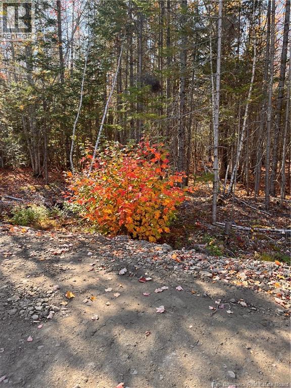 Lot Bells Mills Road, Richibouctou-Village, New Brunswick  E4W 1B8 - Photo 19 - NB128322