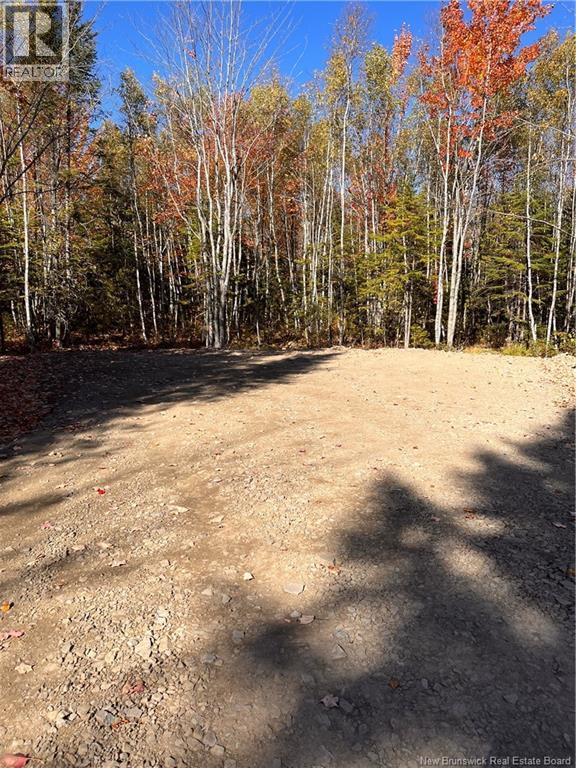 Lot Bells Mills Road, Richibouctou-Village, New Brunswick  E4W 1B8 - Photo 20 - NB128322