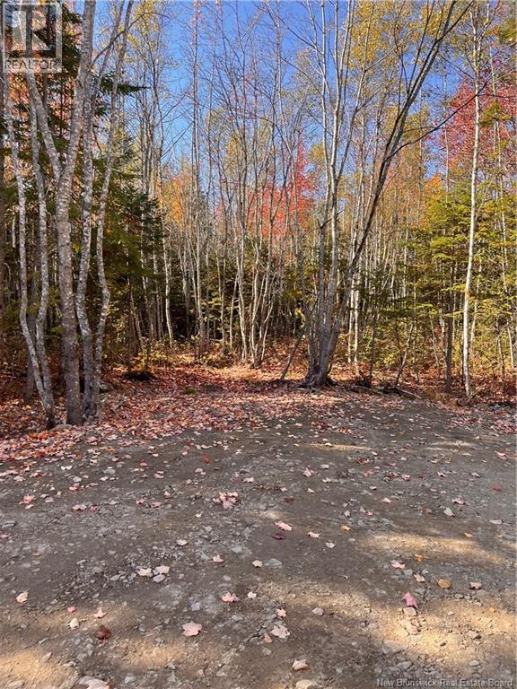 Lot Bells Mills Road, Richibouctou-Village, New Brunswick  E4W 1B8 - Photo 21 - NB128322