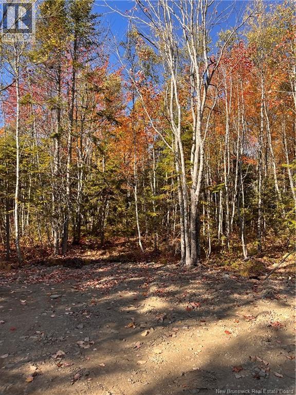 Lot Bells Mills Road, Richibouctou-Village, New Brunswick  E4W 1B8 - Photo 22 - NB128322