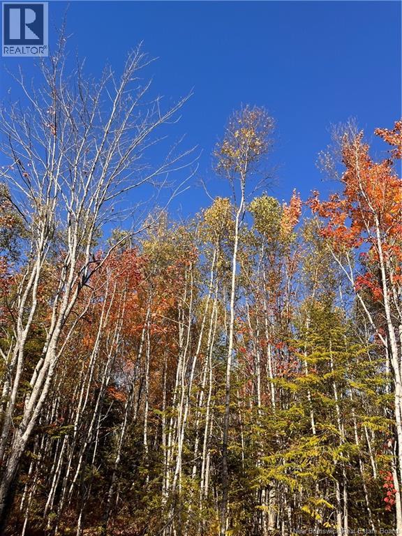 Lot Bells Mills Road, Richibouctou-Village, New Brunswick  E4W 1B8 - Photo 23 - NB128322